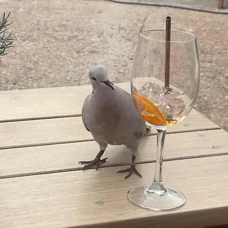 Semesterbostad Am Teutoburger Wald *