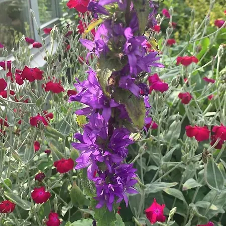 Am Teutoburger Wald Semesterbostad *