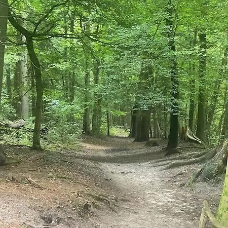 Am Teutoburger Wald * Detmold