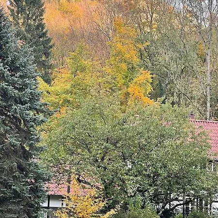 Am Teutoburger Wald Дом отдыха Детмольд