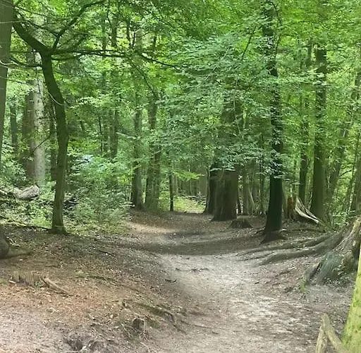 Am Teutoburger Wald * 데트몰트