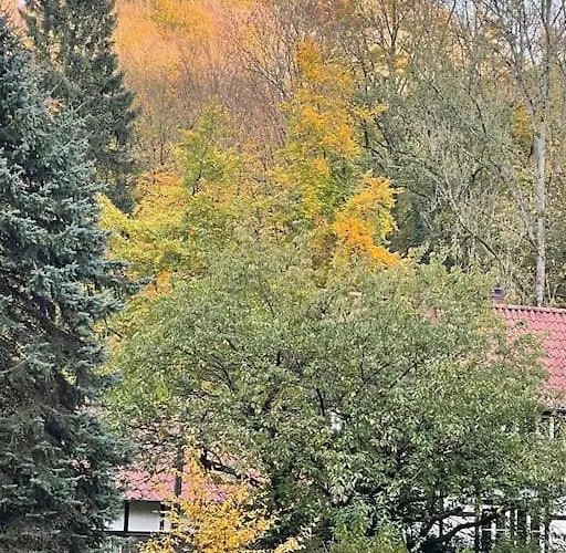 Am Teutoburger Wald 度假居 代特莫尔德